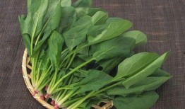 菠菜最新爆料图片大全,高清图片大揭秘