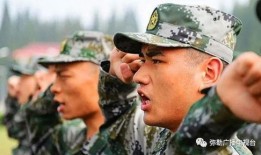 云南军校爆料事件视频最新,真相揭露与舆论风暴